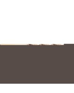 WM5Co ดอกสว่านเจาะเหล็กความเร็วสูง 10.50x133x87 goldfini