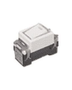 WN50522 10อัน