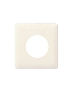 เพลทครบสีที่ทันสมัย φ58 W