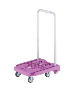 [Sold Out] Idol Carry Weego ดึงลาเวนเดอร์