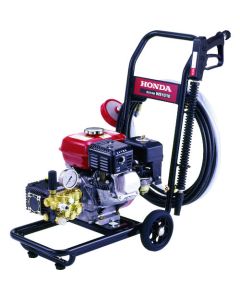 WS1010