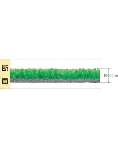 Artificial Turf 1อัน