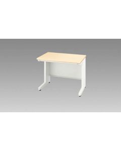 Basic Desk 1อัน