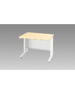 Basic Desk 1อัน
