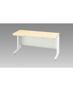 Basic Desk 1อัน