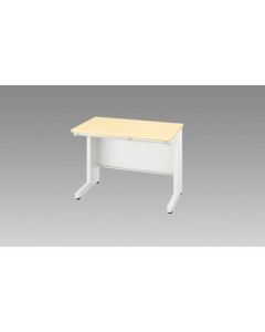 Basic Desk 1อัน