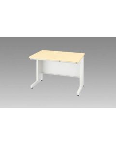 Basic Desk 1อัน