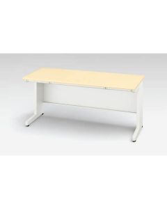 Basic Desk 1อัน