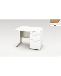 Single Pedestal Desk 1อัน