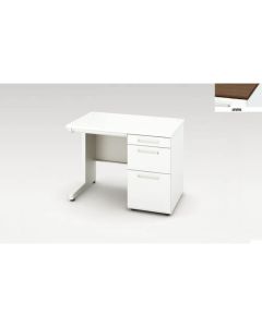 Single Pedestal Desk 1อัน