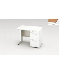 Single Pedestal Desk 1อัน