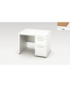Single Pedestal Desk 1อัน
