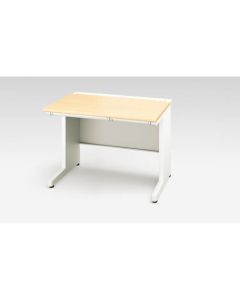 Basic Desk 1อัน
