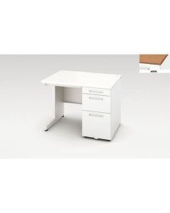 Single Pedestal Desk 1อัน