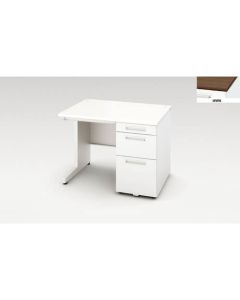 Single Pedestal Desk 1อัน