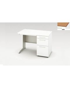 Single Pedestal Desk 1อัน