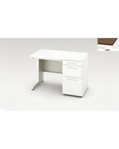 Single Pedestal Desk 1อัน
