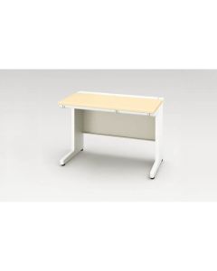Basic Desk 1อัน