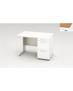 Single Pedestal Desk 1อัน