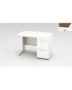 Single Pedestal Desk 1อัน