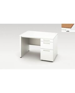 Single Pedestal Desk 1อัน