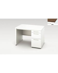 Single Pedestal Desk 1อัน