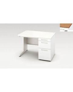 Single Pedestal Desk 1อัน
