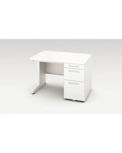 Single Pedestal Desk 1อัน