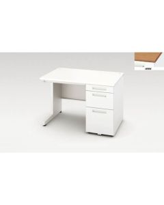 Single Pedestal Desk 1อัน