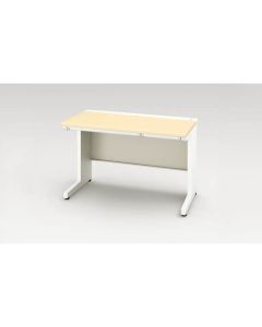 Basic Desk 1อัน