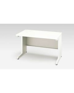 Basic Desk 1อัน