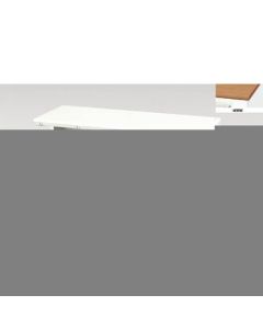 Single Pedestal Desk 1อัน