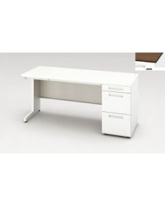 Single Pedestal Desk 1อัน