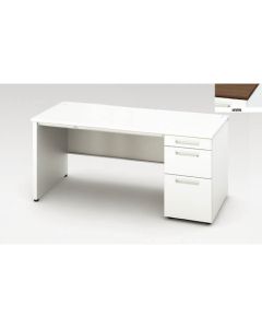 Single Pedestal Desk 1อัน