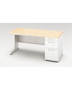 Single Pedestal Desk 1อัน