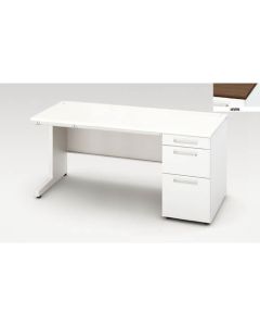 Single Pedestal Desk 1อัน