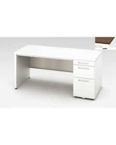 Single Pedestal Desk 1อัน