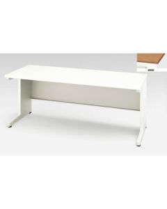 Basic Desk 1อัน