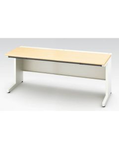 Basic Desk 1อัน