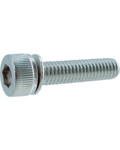 Hexagon Socket Head Cap Bolt with Serrated Conical Spring Washer