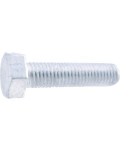 Hexagon Bolt (steel/full thread type)