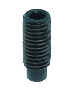 Steel Hexagon Socket Set Screw ชุดละ 40 เส้น