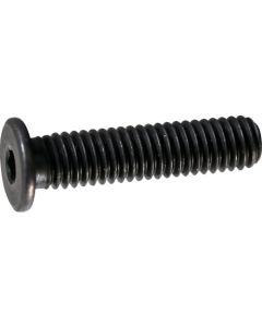 Flat Head Slim Screw Head Bolt ชุดละ 11 เส้น