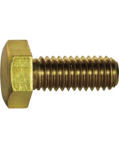 Brass Hexagon Head Bolt  ชุดละ 5 เส้น