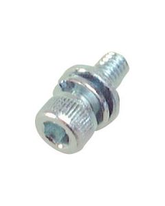 Bolt (100 Set)