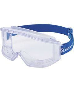 Safety Goggle