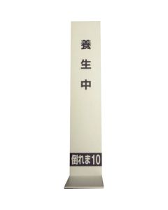 Taorema 10 1แผ่น