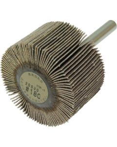 Flap Wheel (10 Set)