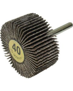 Flap Wheel (10 Set)