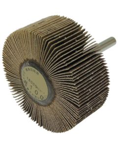 Flap Wheel (10 Set)